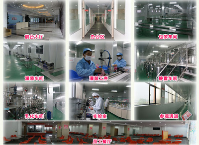 襄阳维美生物科技 专业计算机及办公设备维修服务